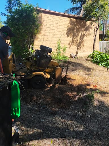 Ash’s Stump Removal — Customer photo