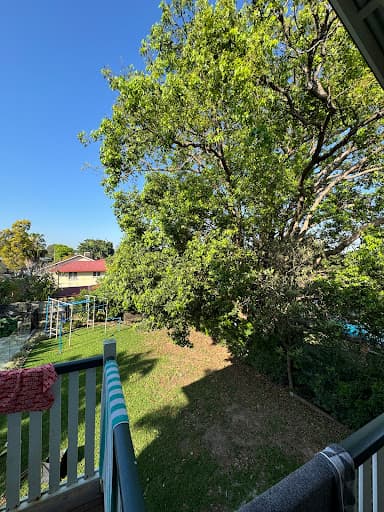 Brisbane Trees and Gardens — Customer photo