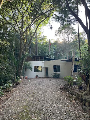 Advanced Tree Surgery Sunshine Coast — Customer photo