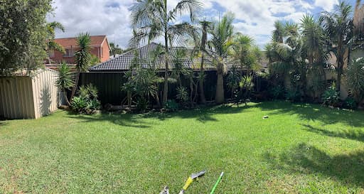 Illawarra Arborist - Tree Services — Customer photo