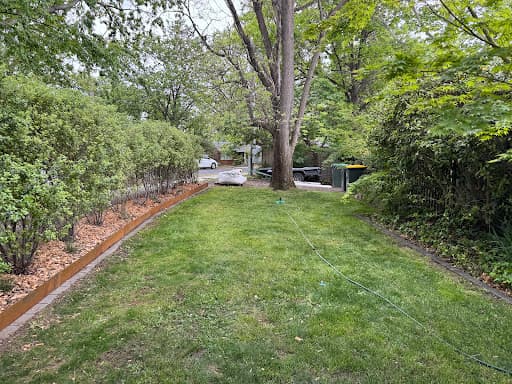 Liro Tree Services — Customer photo
