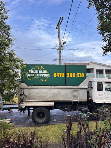 True Blue Tree Lopping — Customer photo