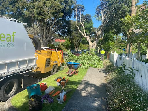 Proleaf Pty Ltd — Customer photo