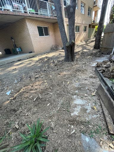 Just Stumpgrinding — Customer photo