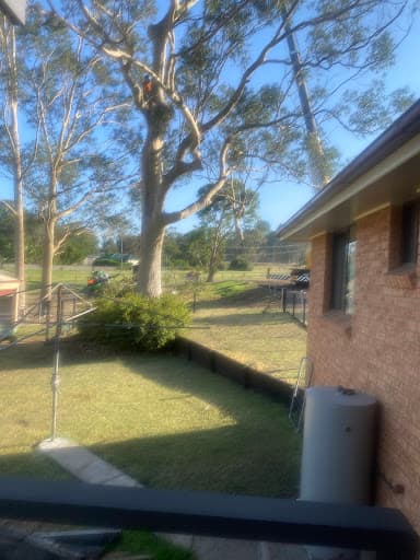 THE LUMBERJACK TREE SERVICE — Customer photo