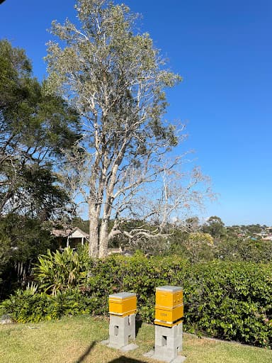 Brisbane Trees and Gardens — Customer photo