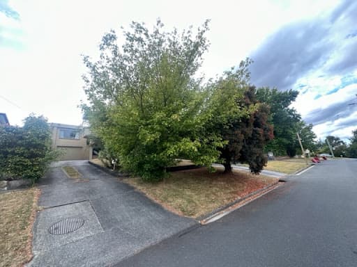 EZE Lawn — Customer photo
