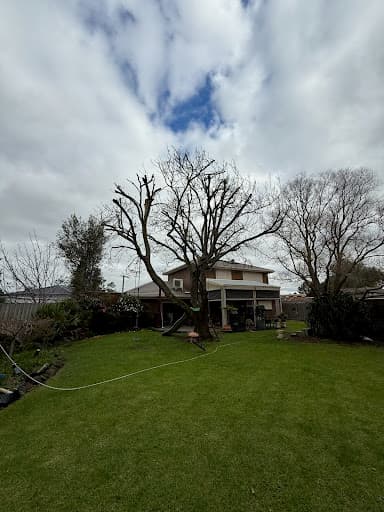Total Tree Care Australia — Customer photo