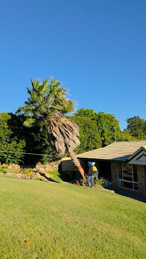 Mick Brewer Tree Services — Customer photo