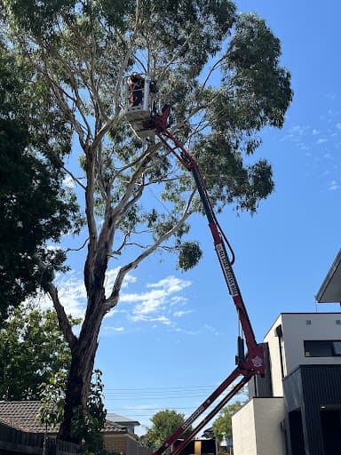 The Yard - Tree Services — Customer photo