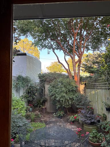 Trees Company — Customer photo