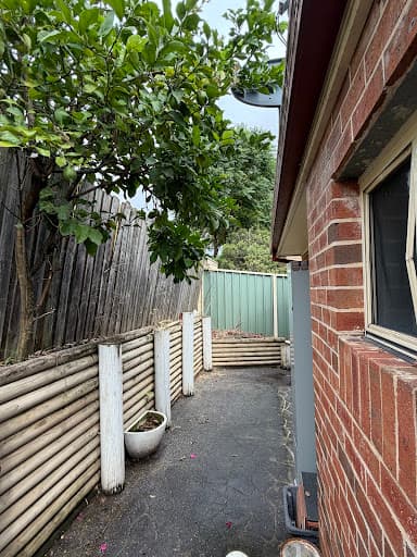 Tony Saunders - Arborist Sydney — Customer photo