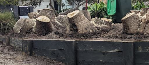 Stump Removal Geelong — Customer photo