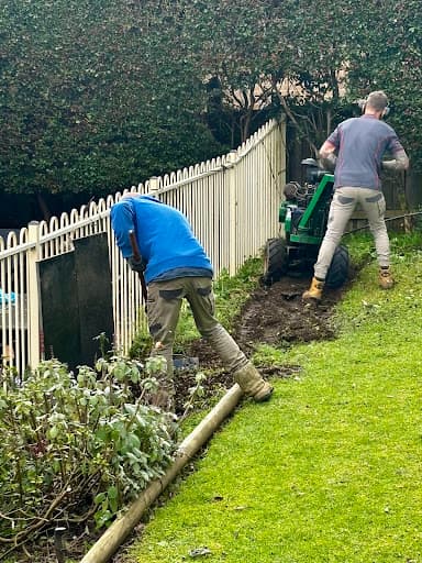 Western Sydney Stump Grinding & Tree Removal Services — Customer photo