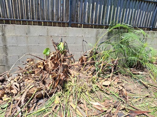 Rapid Stump Grinding — Customer photo