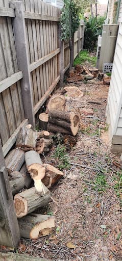 Harry's Yard: Tree Removal Services — Customer photo