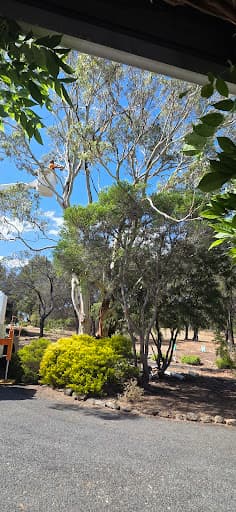 Horizon Tree Service — Customer photo