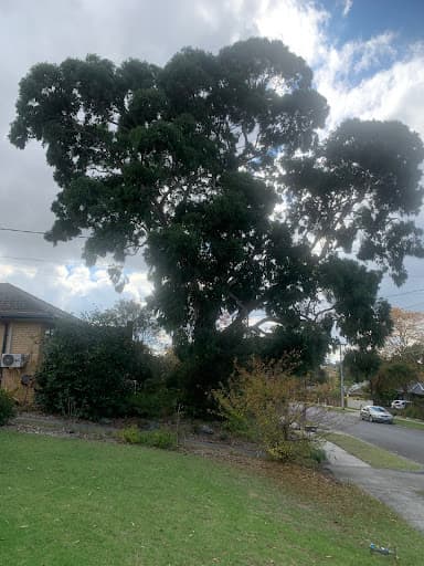 Total Tree Care Australia — Customer photo