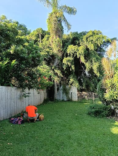 Branching Out Tree Specialists — Customer photo