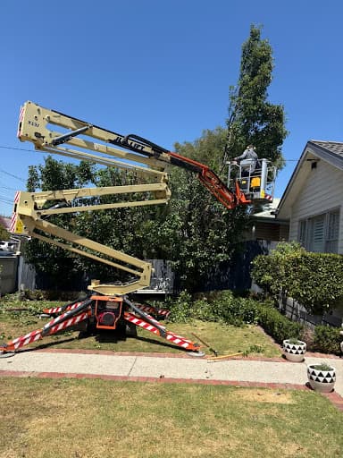 Rocky's Tree Removal — Customer photo