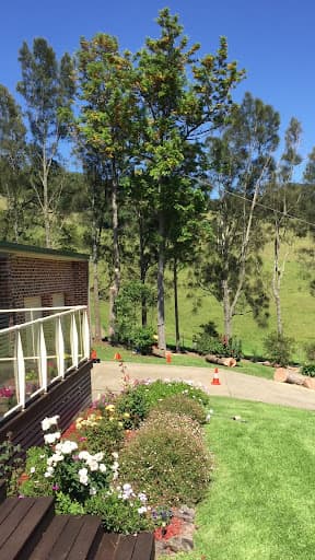 Illawarra Arborist - Tree Services — Customer photo