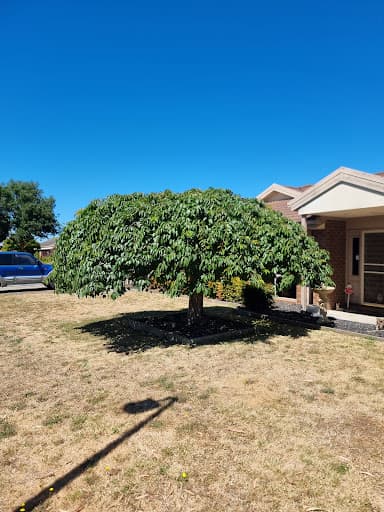 Goldfields Environmental — Customer photo