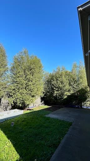 Terrific Trees — Customer photo