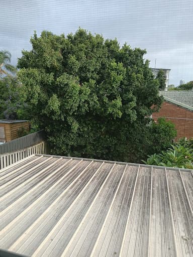 Viking Tree Care Arborist Gold Coast — Customer photo