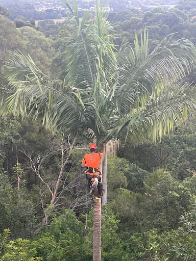 Branch Manager Tree Services — Customer photo