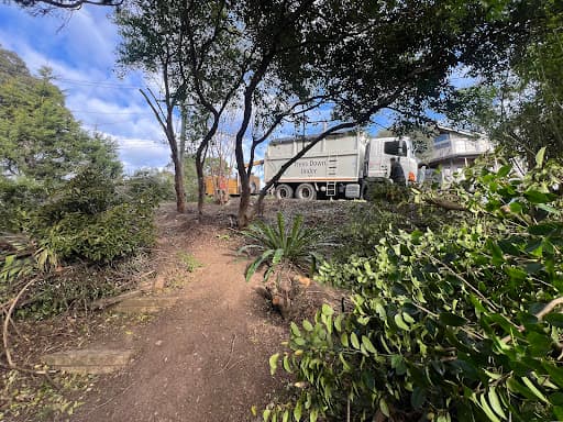 Trees Down Under — Customer photo