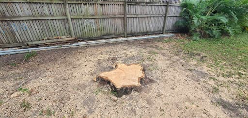 Gibsons Stump Grinding — Customer photo