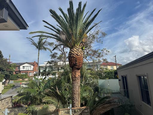 ArborCo — Customer photo