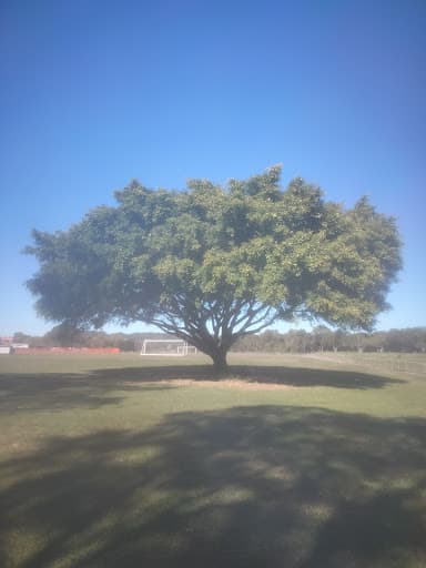 All About Tree Services QLD — Customer photo