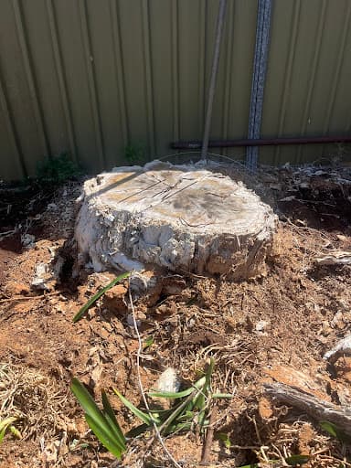 Cheap as chips stumpgrinding — Customer photo