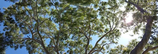 ArborCo — Customer photo