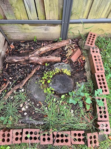Western Sydney Stump Grinding & Tree Removal Services — Customer photo