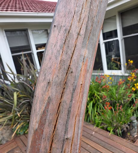 Arborista Trees — Customer photo