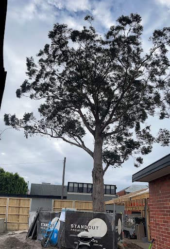 Future Tree Health — Customer photo