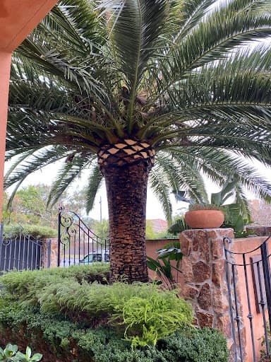 Melbourne Tree Specialists Pty. Ltd. — Customer photo