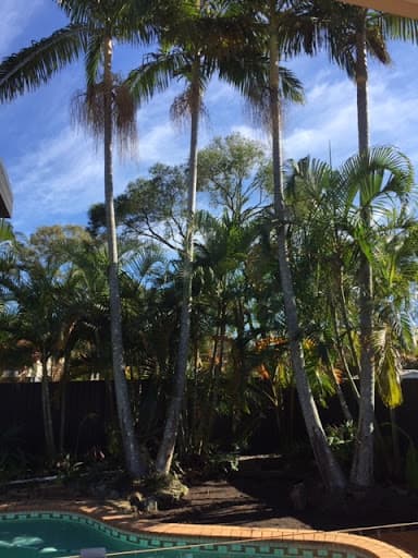 She Trees Pty Ltd — Customer photo