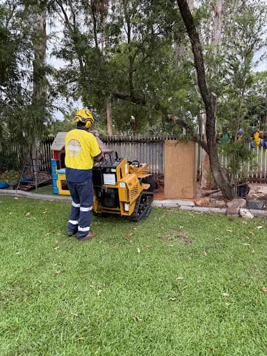Gibsons Stump Grinding — Customer photo