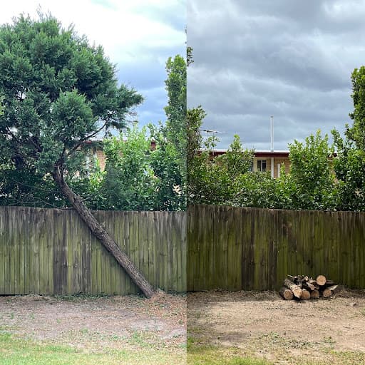 Ecological Tree Services — Customer photo