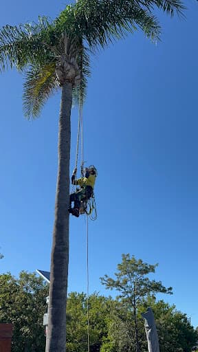 Mick Brewer Tree Services — Customer photo