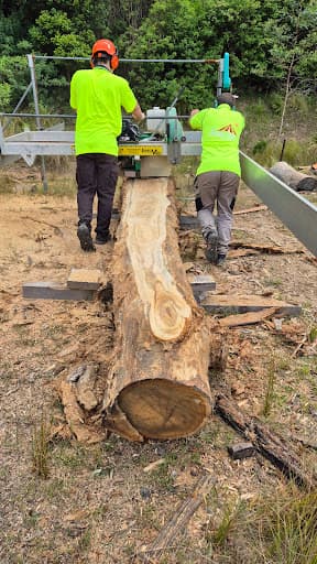 Treecycling Tree Services — Customer photo