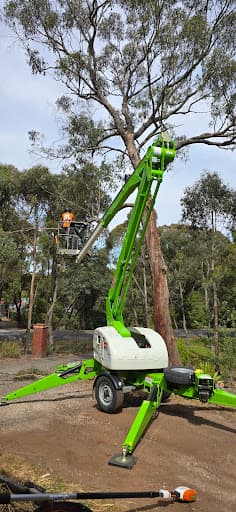 Alpine Tree Management — Customer photo