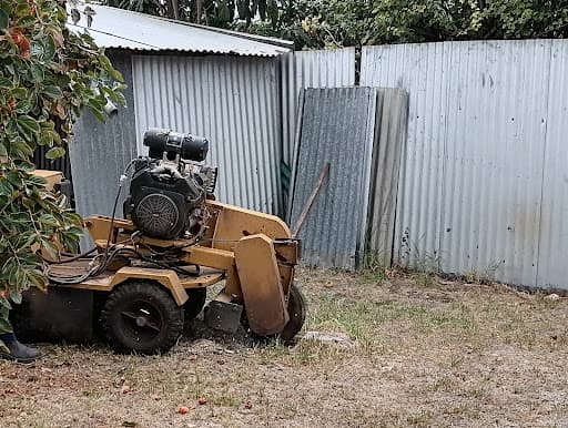 Ash’s Stump Removal — Customer photo