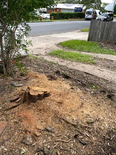 Rapid Stump Grinding — Customer photo