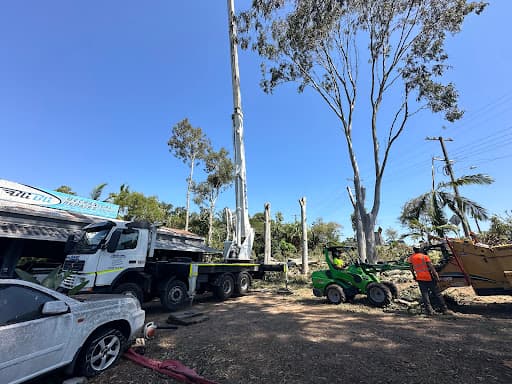 Advanced Tree Surgery Sunshine Coast — Customer photo