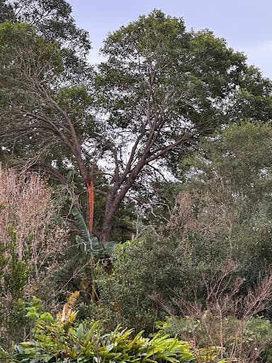 Branch Manager Tree Services — Customer photo