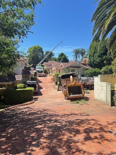 A & A Arbor Tree Service — Customer photo